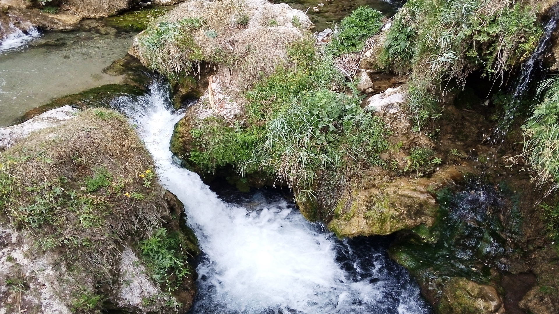 goksu-creek.jpg