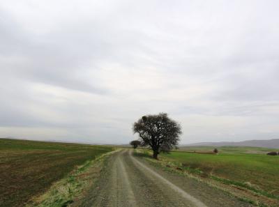Maksutlu - Harun Yolu (2)